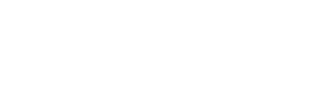 Apollo Insurance Logo